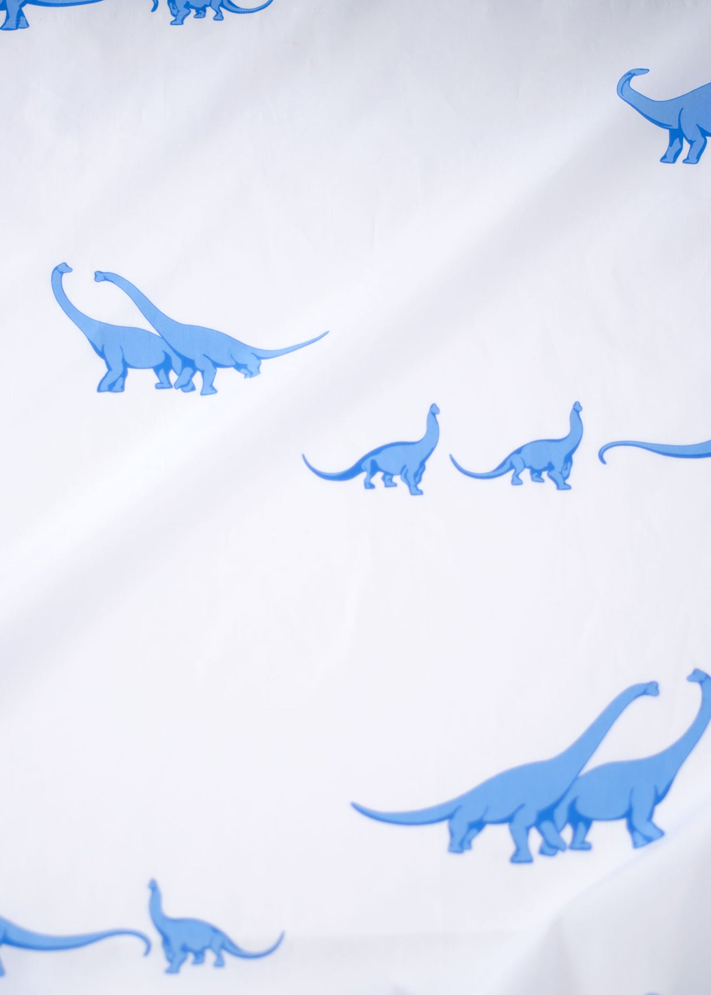 BLUE DINOSAURS COMPLETE SET