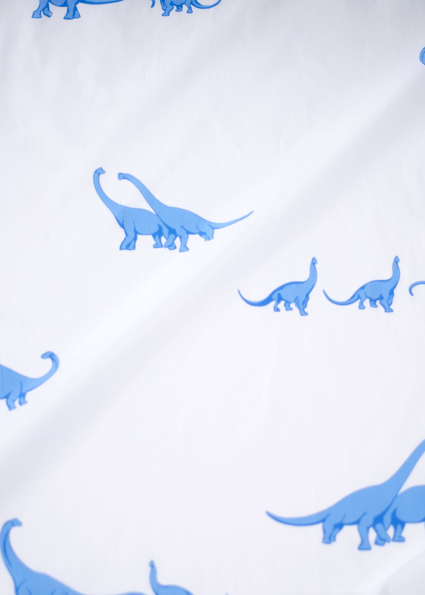 BLUE DINOSAURS SIMPLE SET