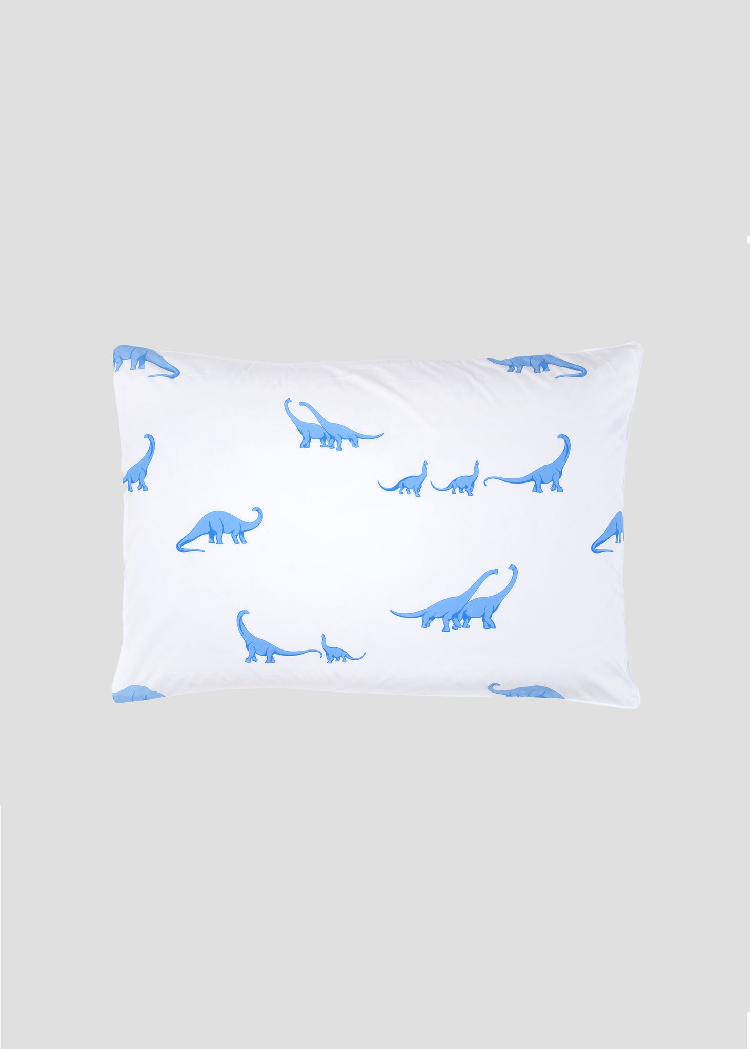 BLUE DINOSAURS SIMPLE SET